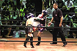 Muay Thai WINDY Super Fight vol.4 辰尾春暉