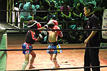 Muay Thai WINDY Super Fight vol.4 野村一馬