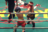 「Muay Thai WINDY Super Fight vol.6」辰尾春暉