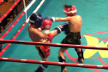 「Muay Thai WINDY Super Fight vol.6」辰尾春暉