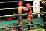 第10回 Muay Thai Windy Super Fight 辰尾春暉