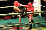 第10回 Muay Thai Windy Super Fight 辰尾春暉