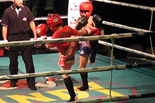 第10回 Muay Thai Windy Super Fight 辰尾春暉